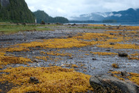 Alaska-0123