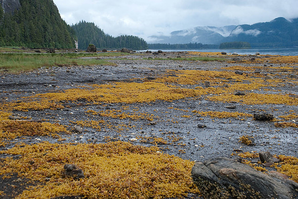 Alaska-0123