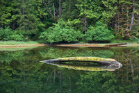 Seattle-Alaska-9977