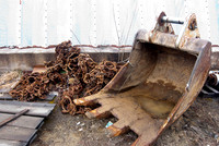 Wagner Wood-8855