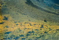 abstractions UMass-9445