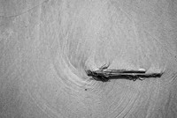 Folly Beach-6960