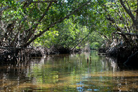 Captiva-7087