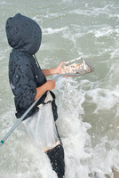 Captiva 2-12-8511