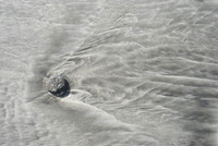 Folly Beach-6942