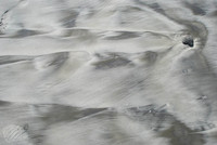 Folly Beach-6938