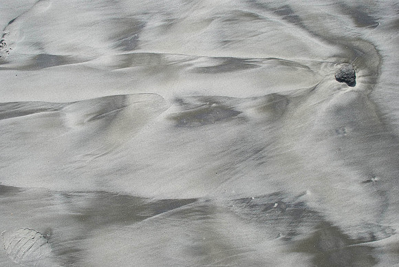 Folly Beach-6938