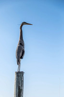 DSCF5364