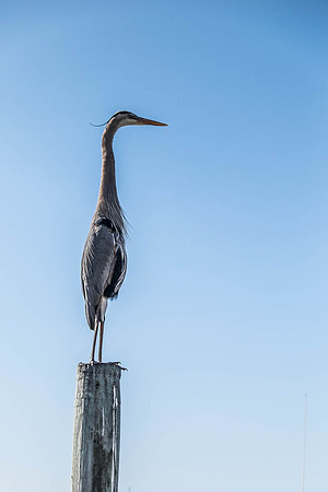 DSCF5364