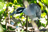 DSCF5644